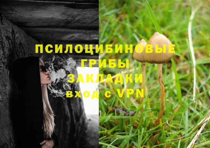 Галлюциногенные грибы Magic Shrooms  купить   Купино 